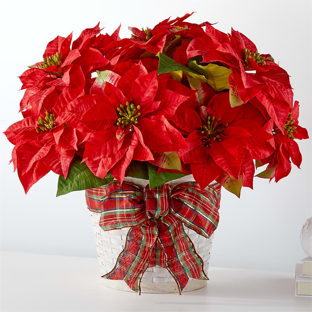 Happiest Holidays Poinsettia – EVERYTHING'S GREEN FLORIST, Redwood City CA