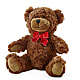 Adorable Plush Bear – EVERYTHING'S GREEN FLORIST, Redwood City CA