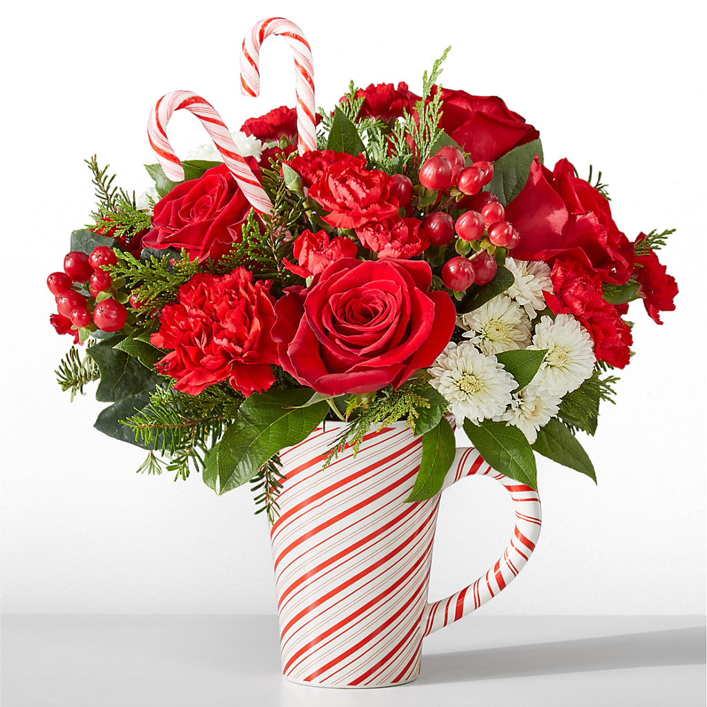 Peppermint Swirl Mug – EVERYTHING'S GREEN FLORIST, Redwood City CA