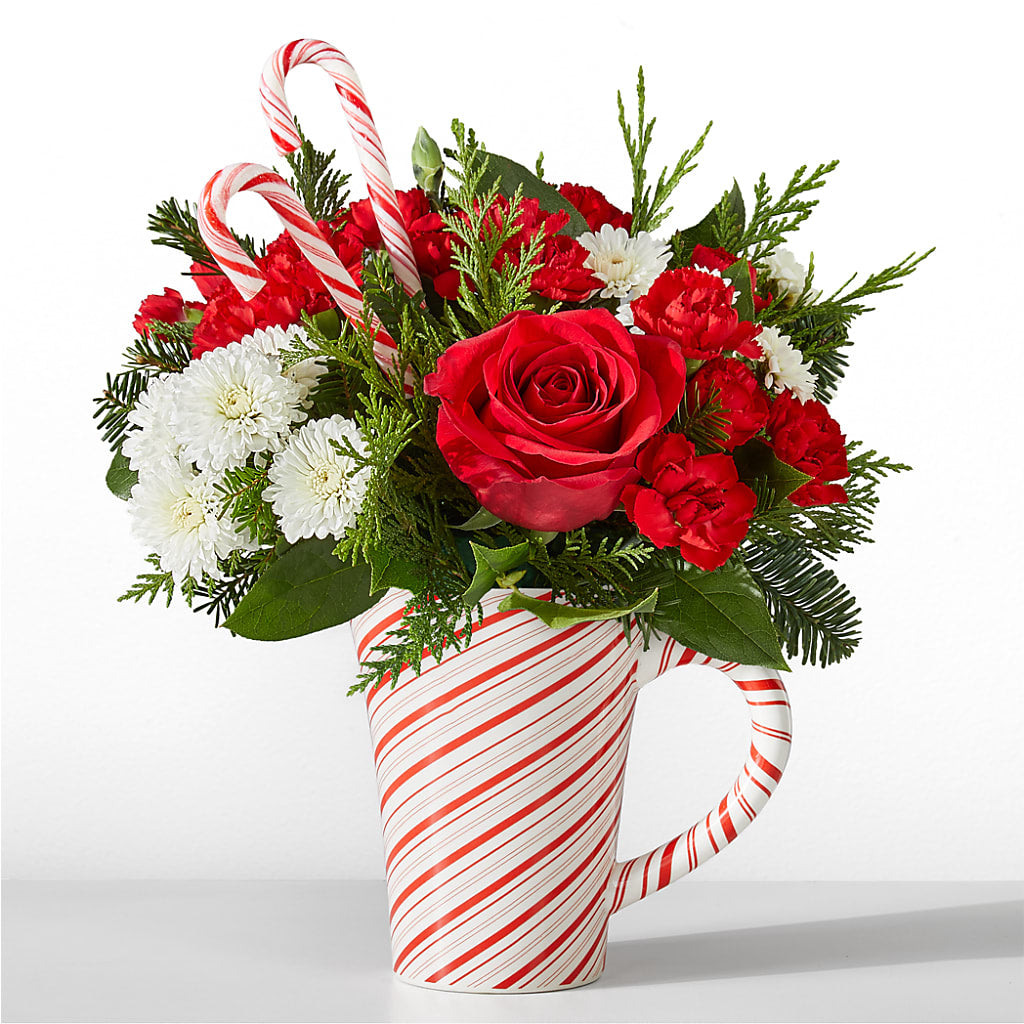 Peppermint Swirl Mug – EVERYTHING'S GREEN FLORIST, Redwood City CA