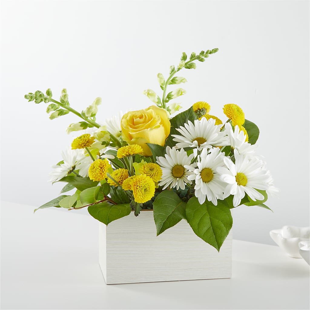 Sun Salutation Box Bouquet – EVERYTHING'S GREEN FLORIST, Redwood City CA
