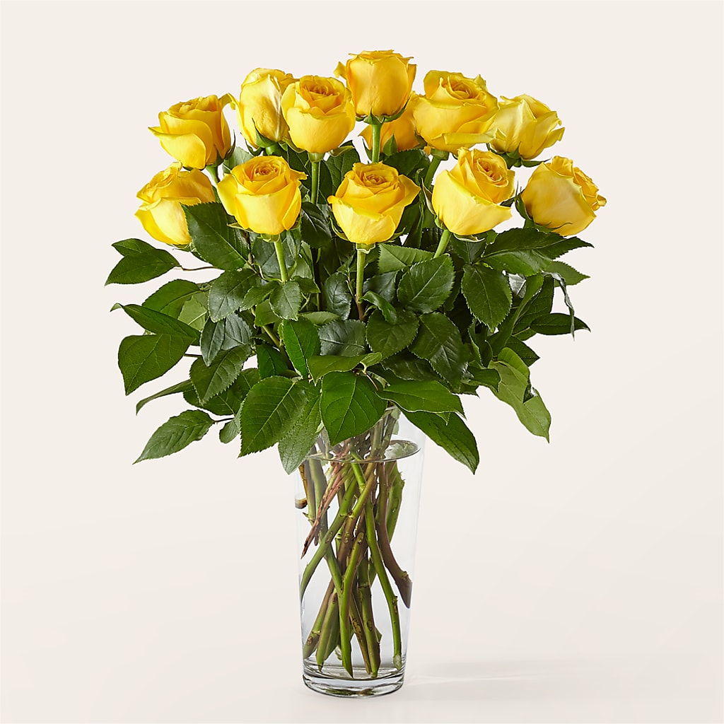 Long Stem Yellow Rose Bouquet – EVERYTHING'S GREEN FLORIST, Redwood City CA