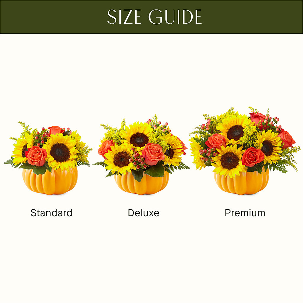 Pick of the Patch Pumpkin Bouquet – EVERYTHING'S GREEN FLORIST, Redwood City CA