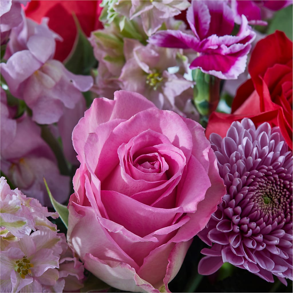 Better Together - A Luxury Florist Original – EVERYTHING'S GREEN FLORIST, Redwood City CA