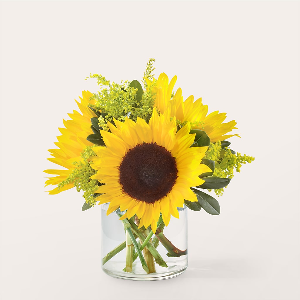 Beaming Sunflower Bouquet – EVERYTHING'S GREEN FLORIST, Redwood City CA