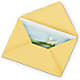 Greeting Card – EVERYTHING'S GREEN FLORIST, Redwood City CA