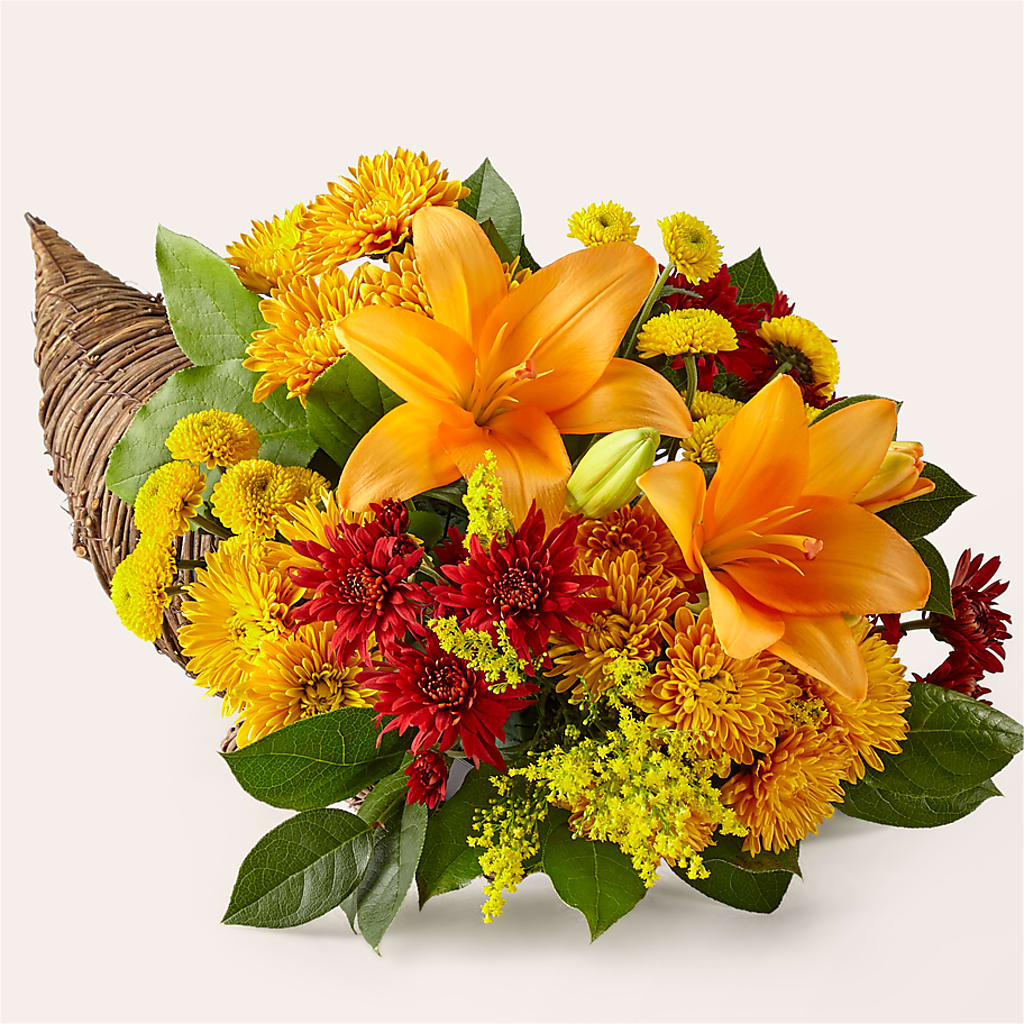 Feast of Color Cornucopia – EVERYTHING'S GREEN FLORIST, Redwood City CA
