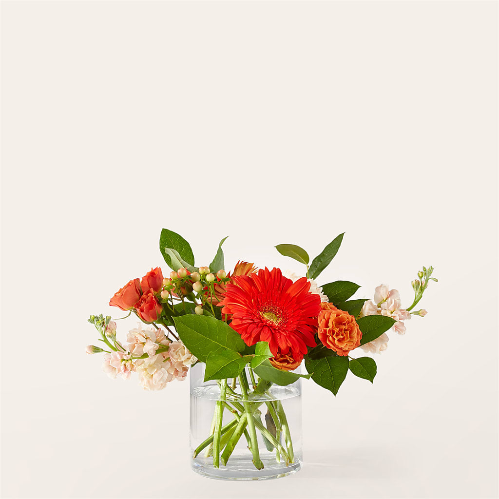 Paloma Please Bouquet – EVERYTHING'S GREEN FLORIST, Redwood City CA