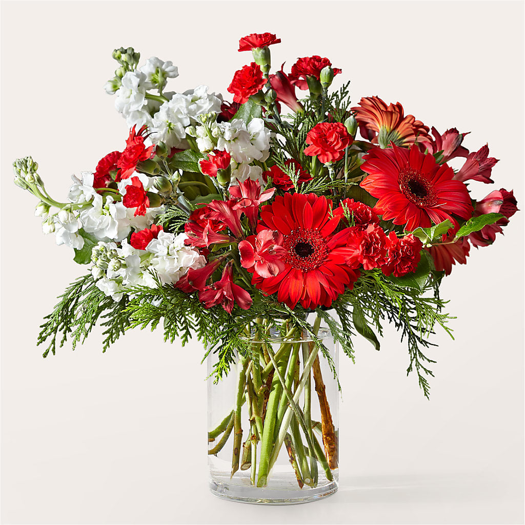 Holidaisy Bouquet – EVERYTHING'S GREEN FLORIST, Redwood City CA