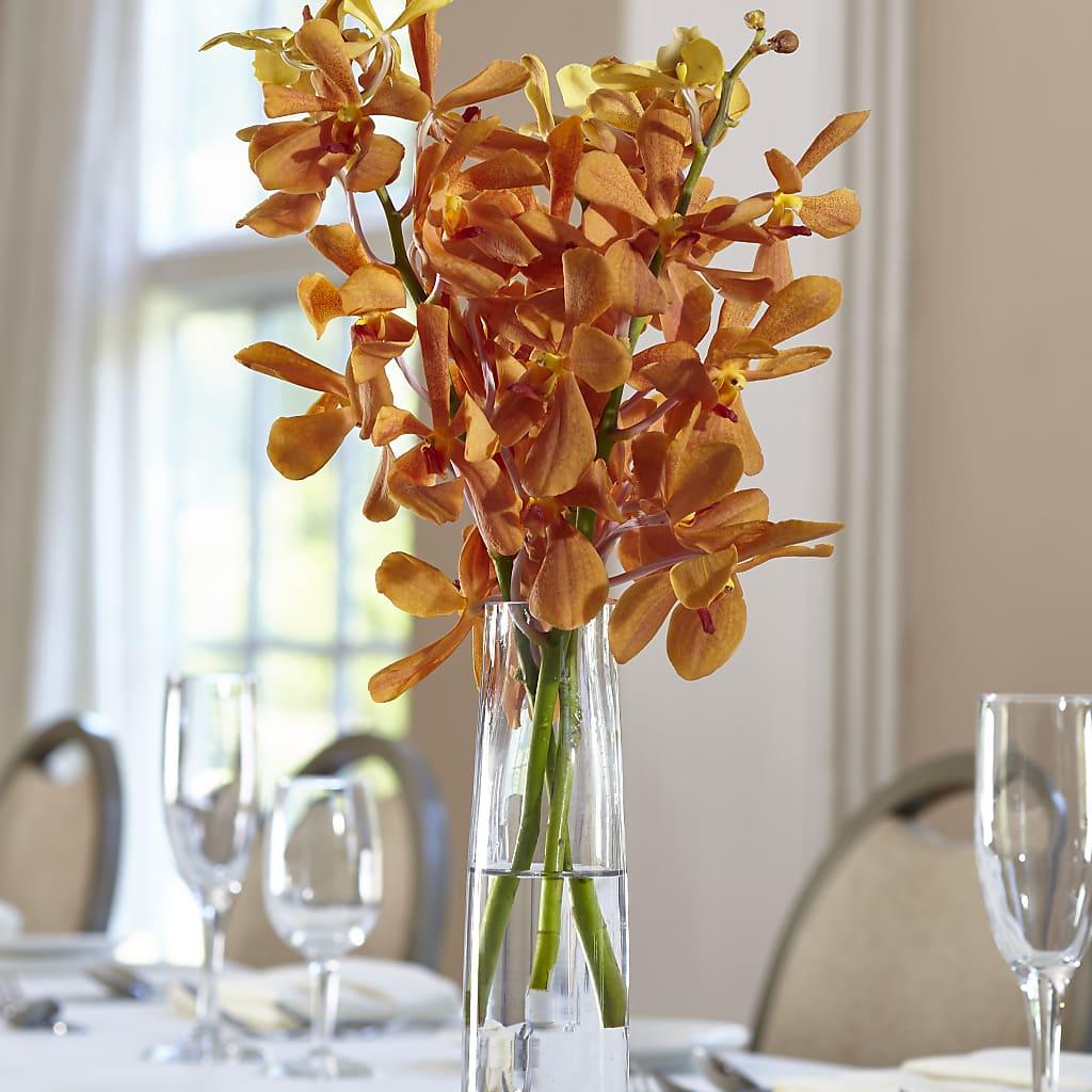 Orange Mokara Bud Vase – EVERYTHING'S GREEN FLORIST, Redwood City CA
