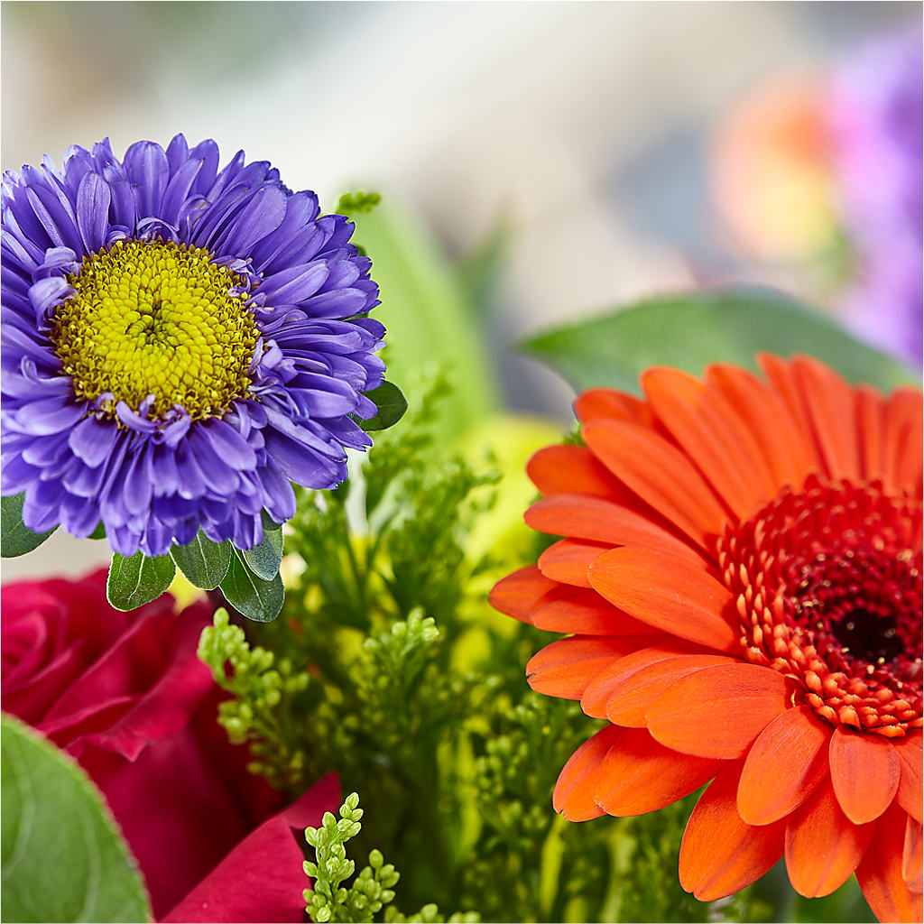 Bold & Bright – A Florist Original – EVERYTHING'S GREEN FLORIST, Redwood City CA