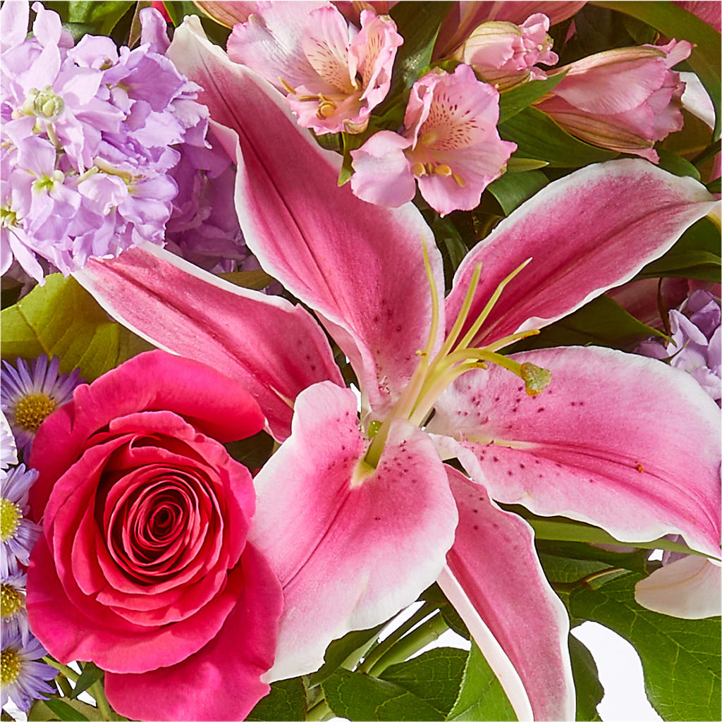 Written in the Stars Bouquet – EVERYTHING'S GREEN FLORIST, Redwood City CA