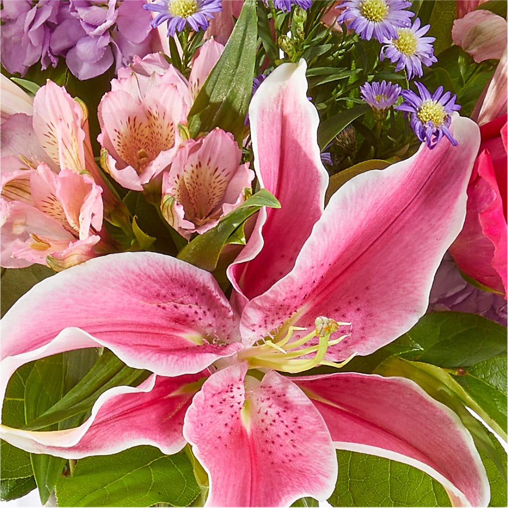 Written in the Stars Bouquet – EVERYTHING'S GREEN FLORIST, Redwood City CA