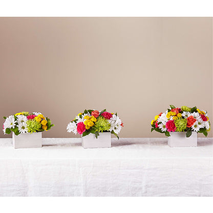 Sorbet Bouquet – EVERYTHING'S GREEN FLORIST, Redwood City CA