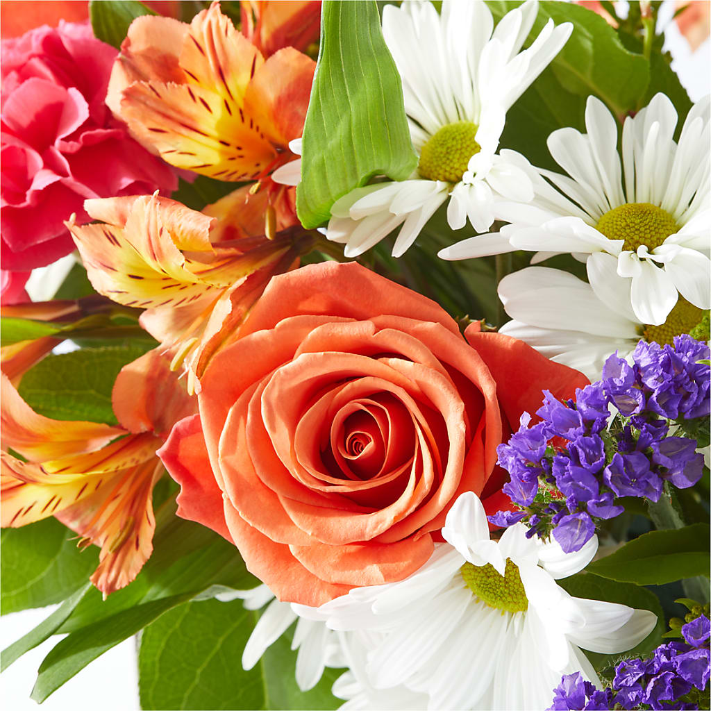 Oopsie Daisy Box Bouquet – EVERYTHING'S GREEN FLORIST, Redwood City CA