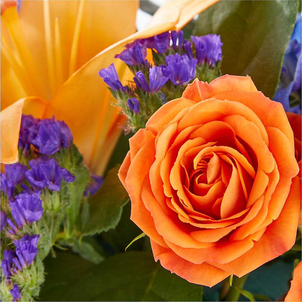 Radiant Citrus Box Bouquet – EVERYTHING'S GREEN FLORIST, Redwood City CA