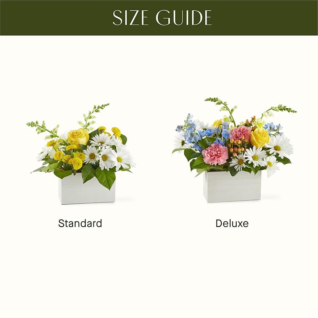 Sun Salutation Box Bouquet – EVERYTHING'S GREEN FLORIST, Redwood City CA