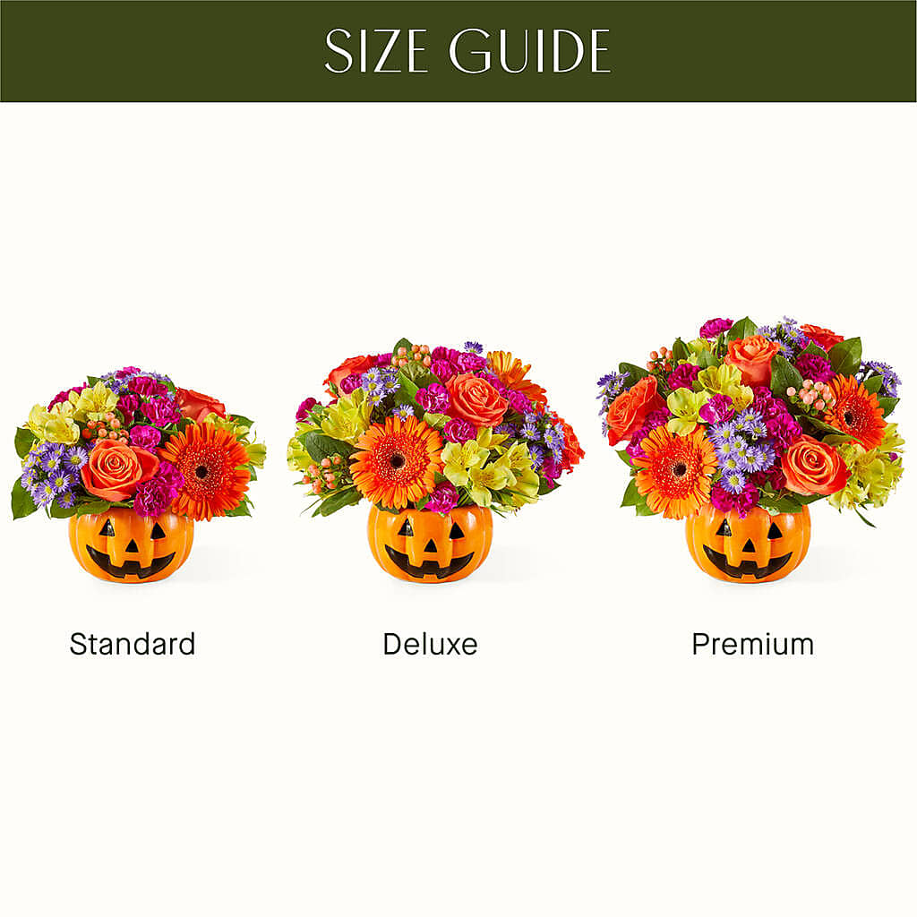 Tricks & Treats Pumpkin – EVERYTHING'S GREEN FLORIST, Redwood City CA