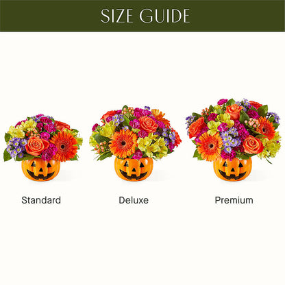 Tricks & Treats Pumpkin – EVERYTHING'S GREEN FLORIST, Redwood City CA