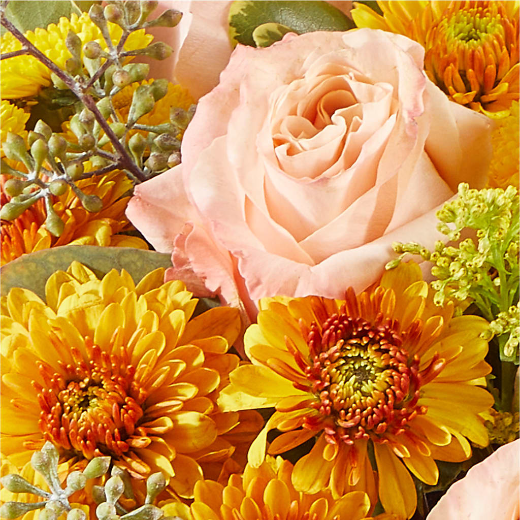 Peachy Pumpkin – EVERYTHING'S GREEN FLORIST, Redwood City CA