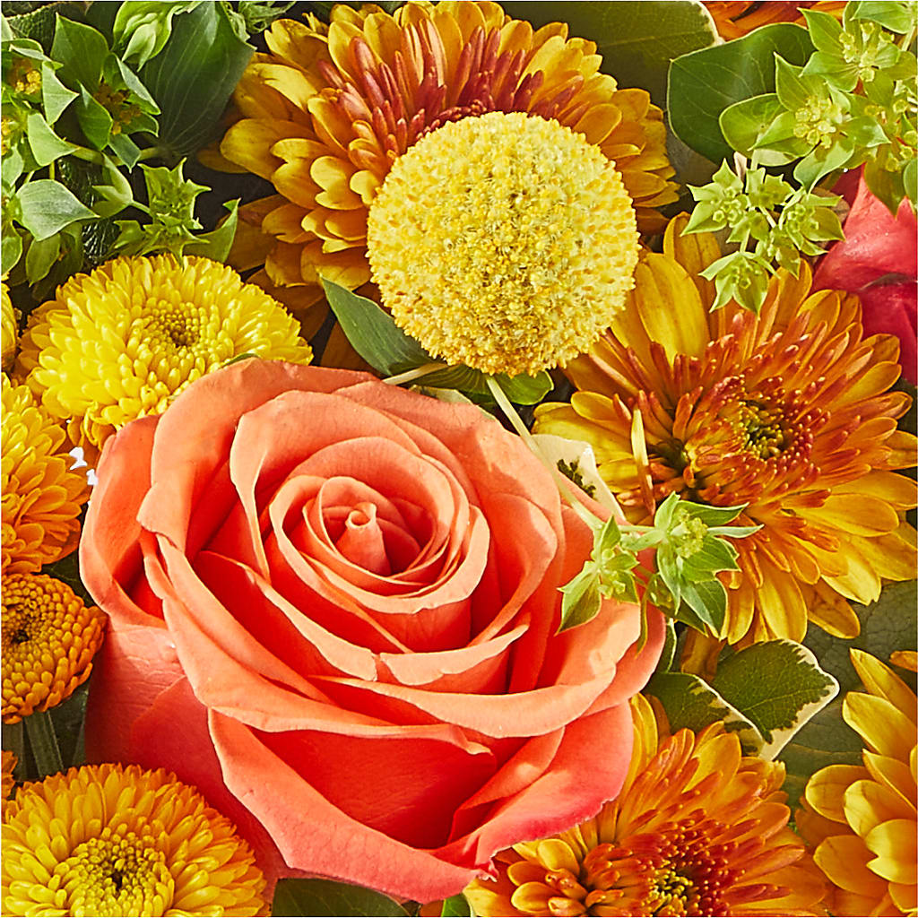Gourdgeous Pumpkin – EVERYTHING'S GREEN FLORIST, Redwood City CA