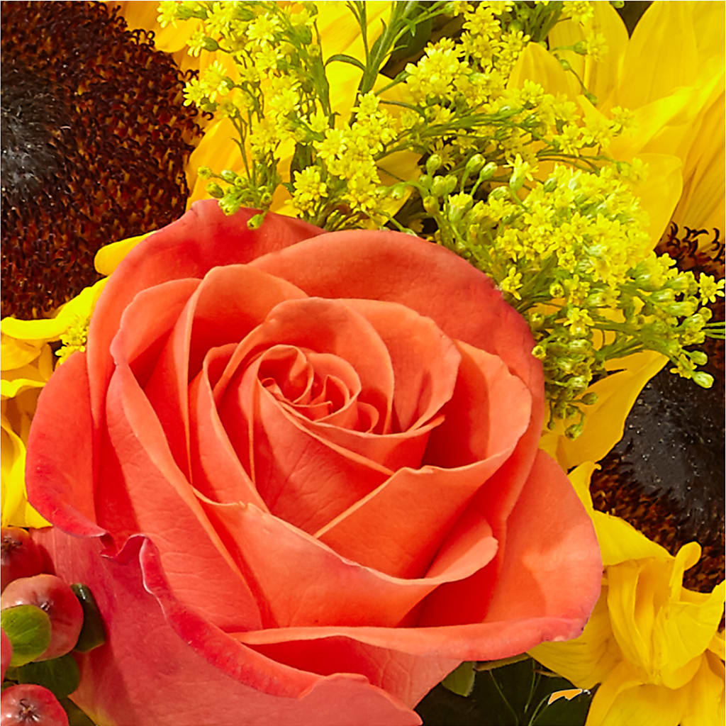 Pick of the Patch Pumpkin Bouquet – EVERYTHING'S GREEN FLORIST, Redwood City CA