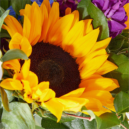 Catching Rays Bouquet – EVERYTHING'S GREEN FLORIST, Redwood City CA