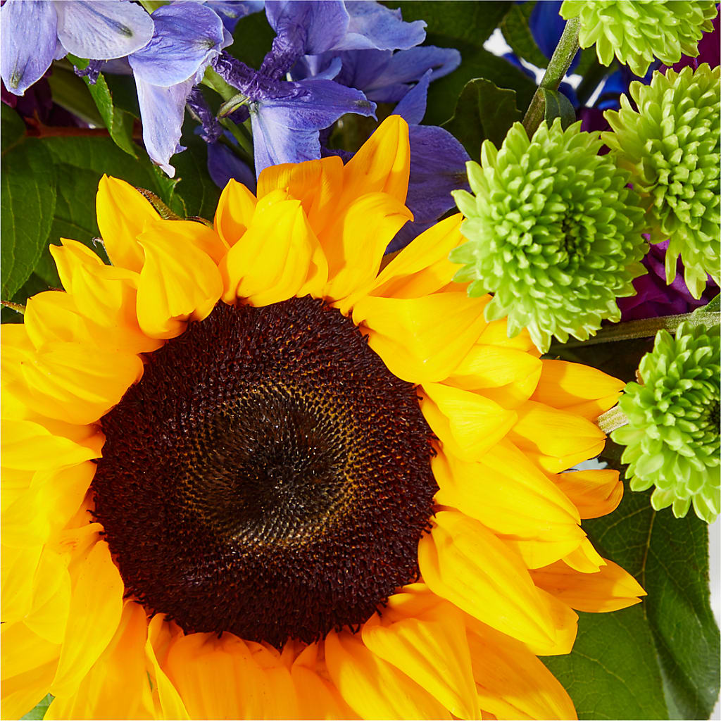 Catching Rays Bouquet – EVERYTHING'S GREEN FLORIST, Redwood City CA