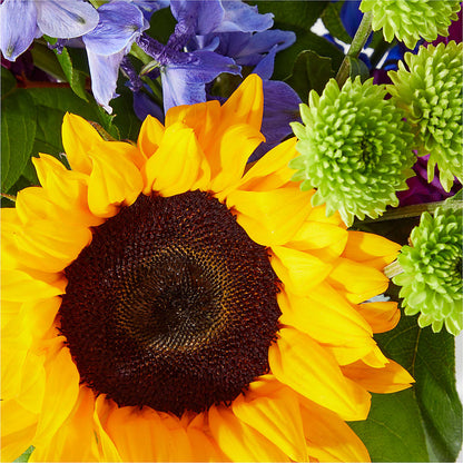 Catching Rays Bouquet – EVERYTHING'S GREEN FLORIST, Redwood City CA