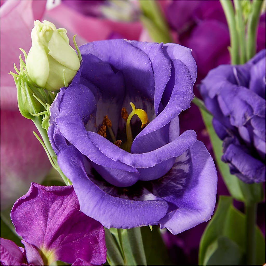 Twilight Glow Bouquet – EVERYTHING'S GREEN FLORIST, Redwood City CA