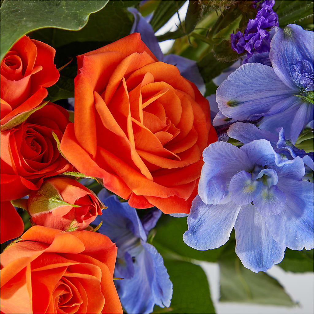 Radiant Citrus Bouquet – EVERYTHING'S GREEN FLORIST, Redwood City CA