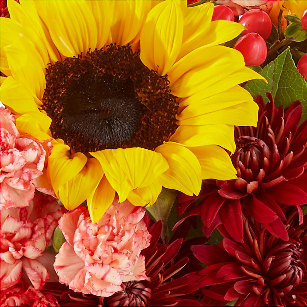 Fresh Cider Bouquet – EVERYTHING'S GREEN FLORIST, Redwood City CA