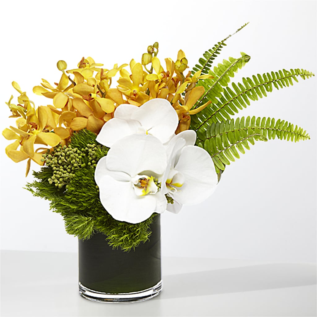 The Tropics – EVERYTHING'S GREEN FLORIST, Redwood City CA