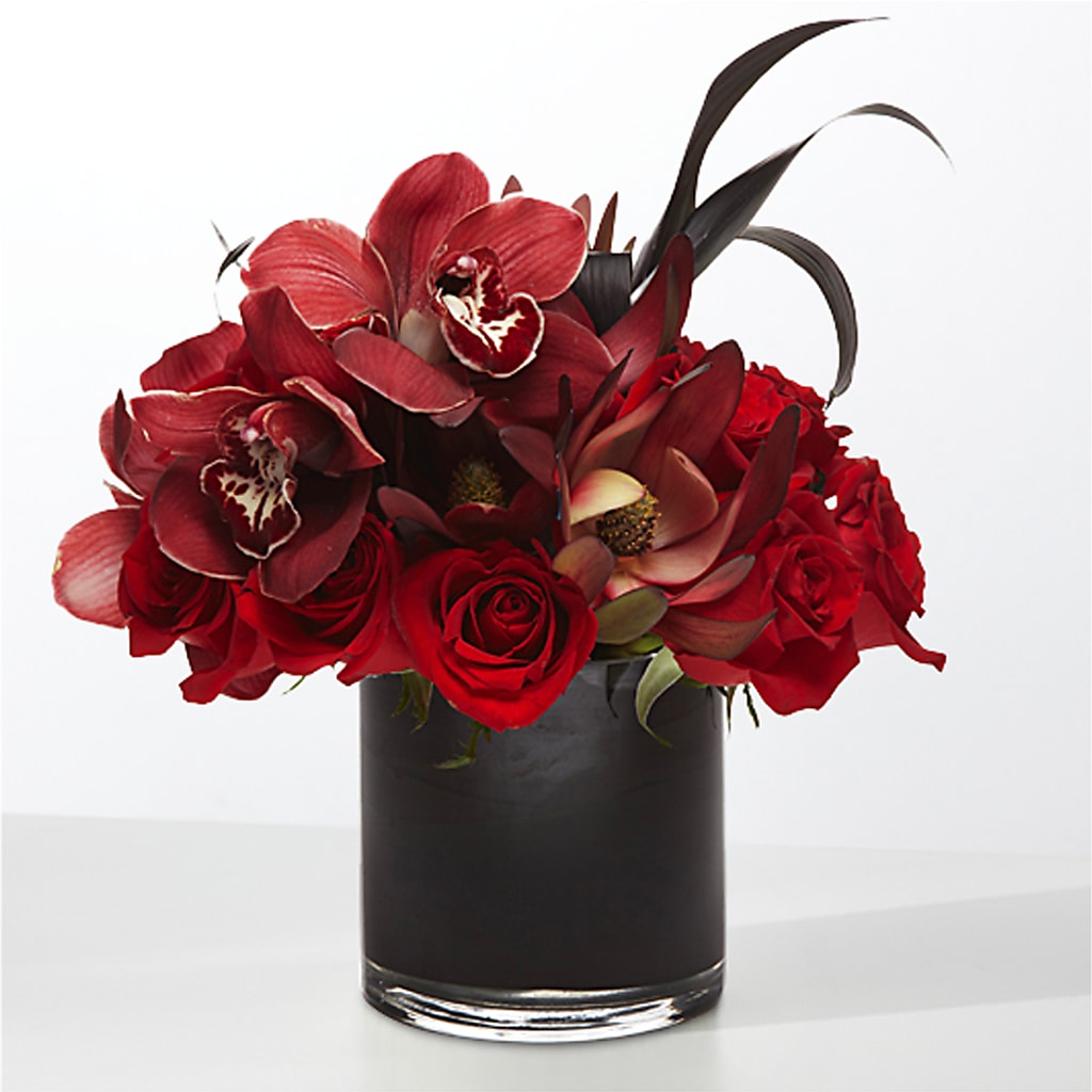 The Eclipse – EVERYTHING'S GREEN FLORIST, Redwood City CA