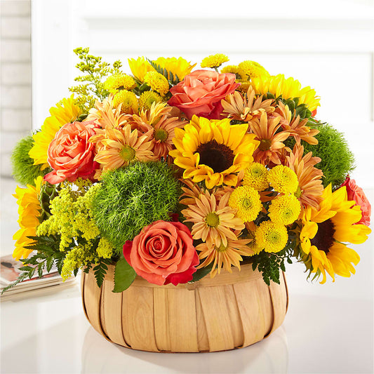Harvest Sunflower Basket – EVERYTHING'S GREEN FLORIST, Redwood City CA