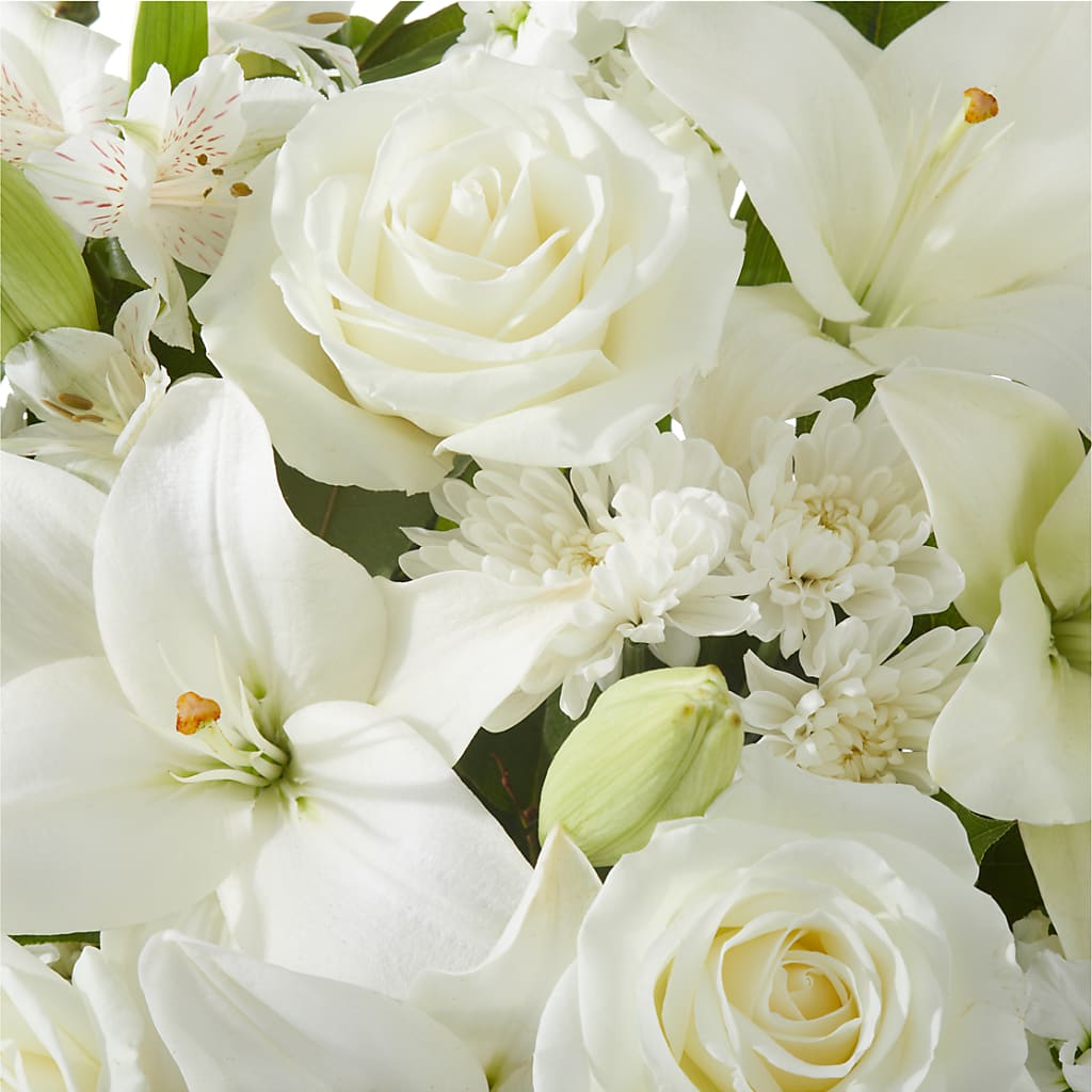 Peaceful Reflections Arrangement – EVERYTHING'S GREEN FLORIST, Redwood City CA