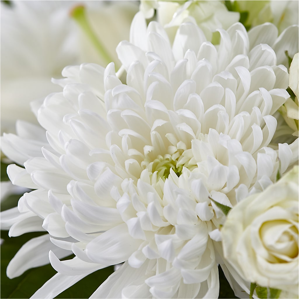 Classic Ivory – A Florist Original – EVERYTHING'S GREEN FLORIST, Redwood City CA