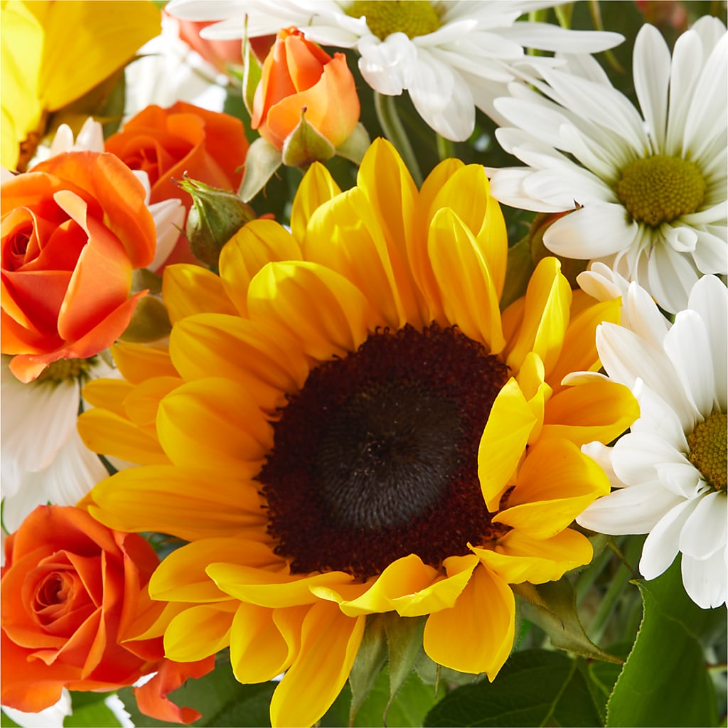 Sun-drenched Blooms Bouquet – EVERYTHING'S GREEN FLORIST, Redwood City CA