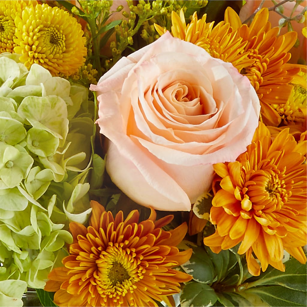 Fall Foliage Bouquet – EVERYTHING'S GREEN FLORIST, Redwood City CA
