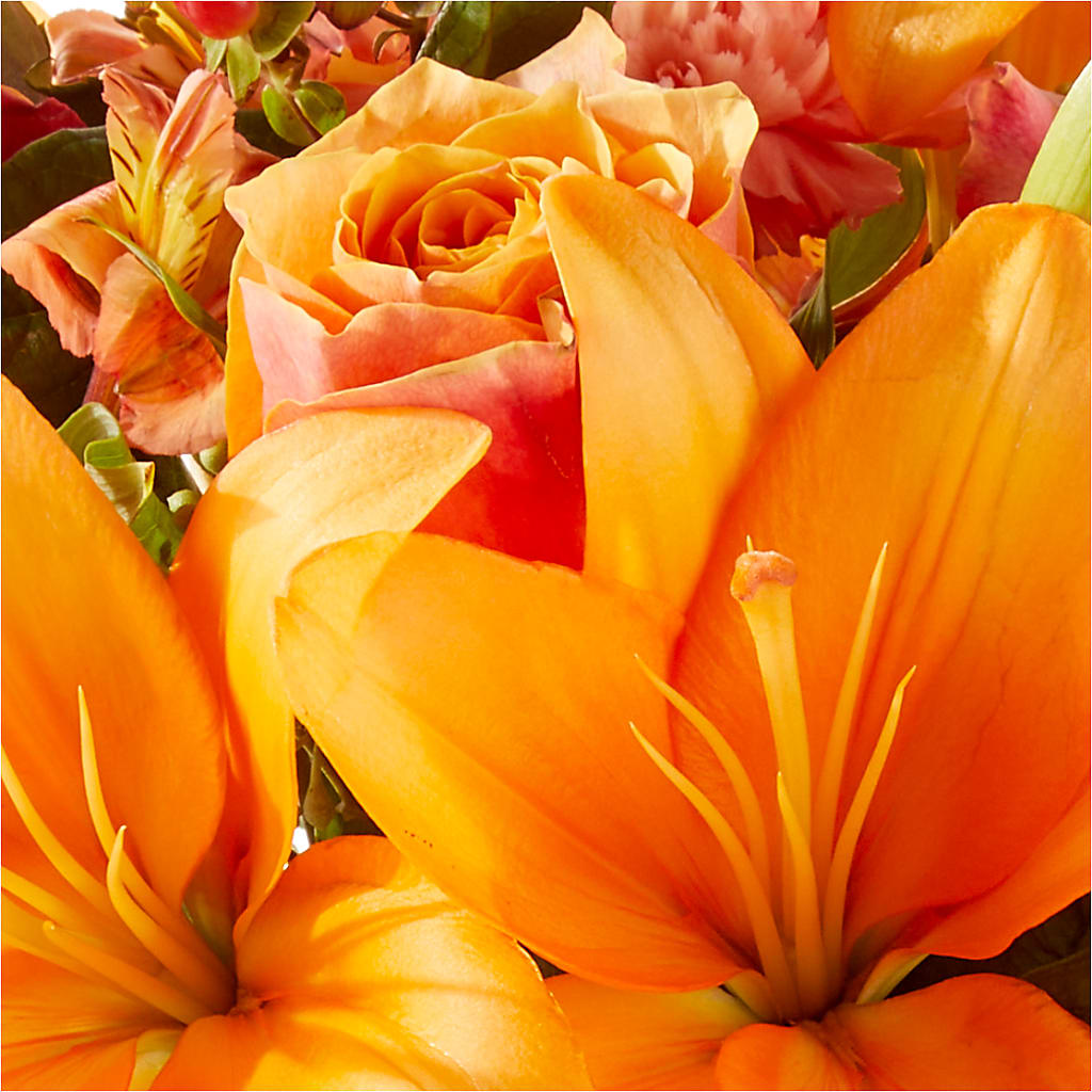 Afternoon Light Bouquet – EVERYTHING'S GREEN FLORIST, Redwood City CA