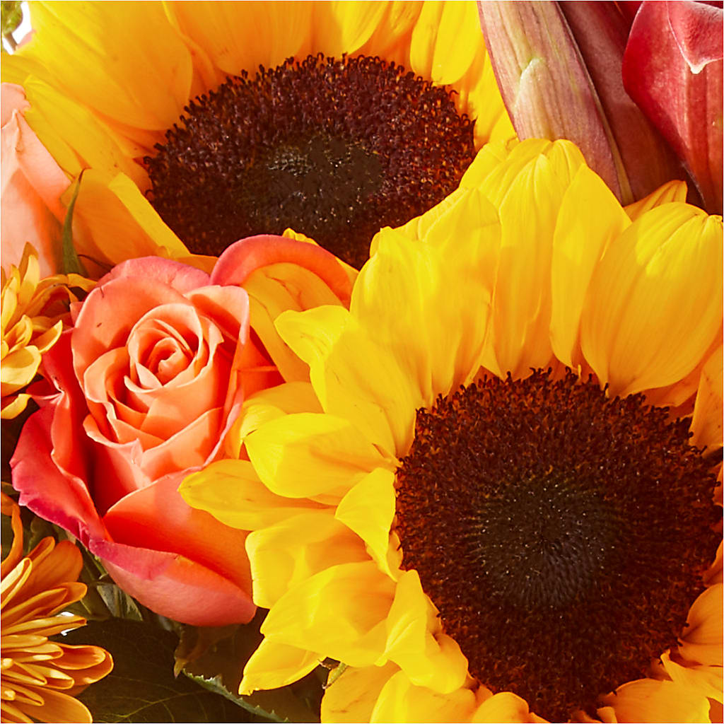 Acorn Lane Bouquet – EVERYTHING'S GREEN FLORIST, Redwood City CA