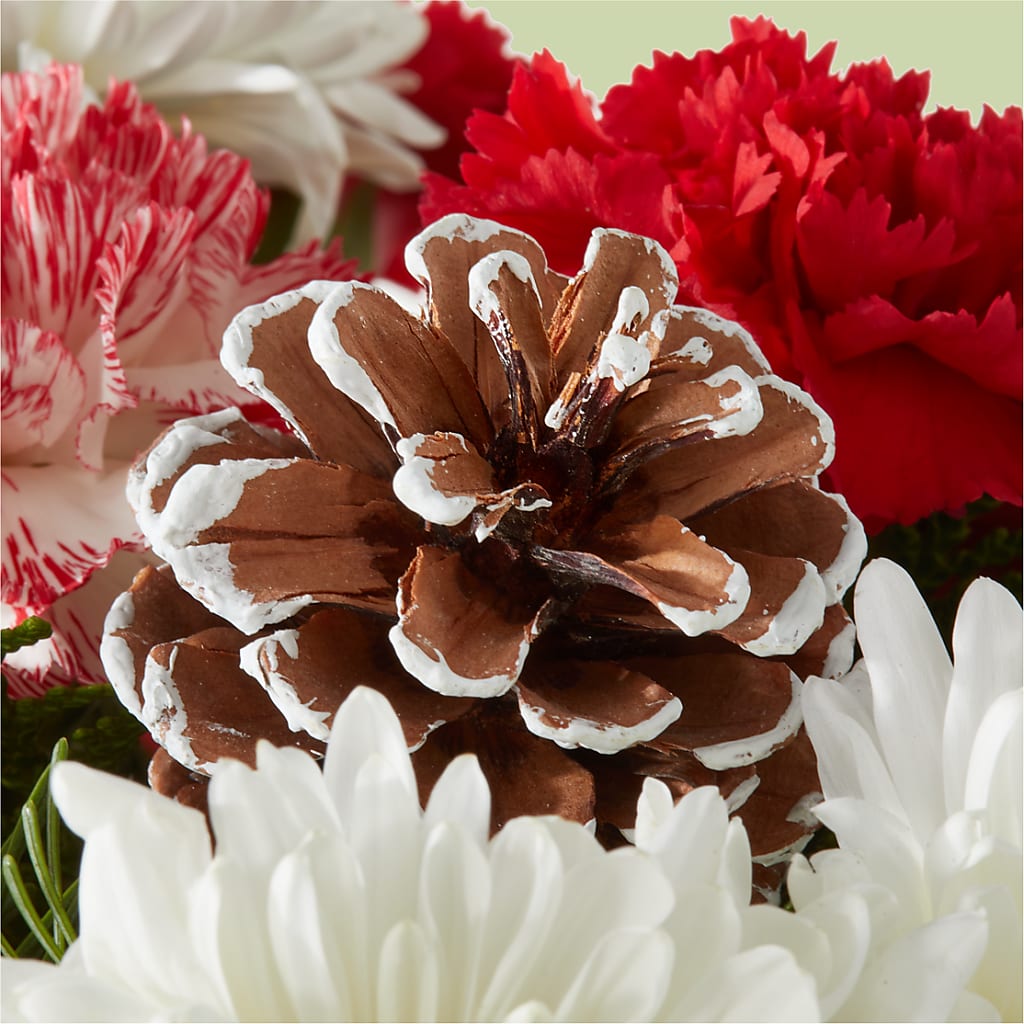 Candy Cane Lane Bouquet – EVERYTHING'S GREEN FLORIST, Redwood City CA