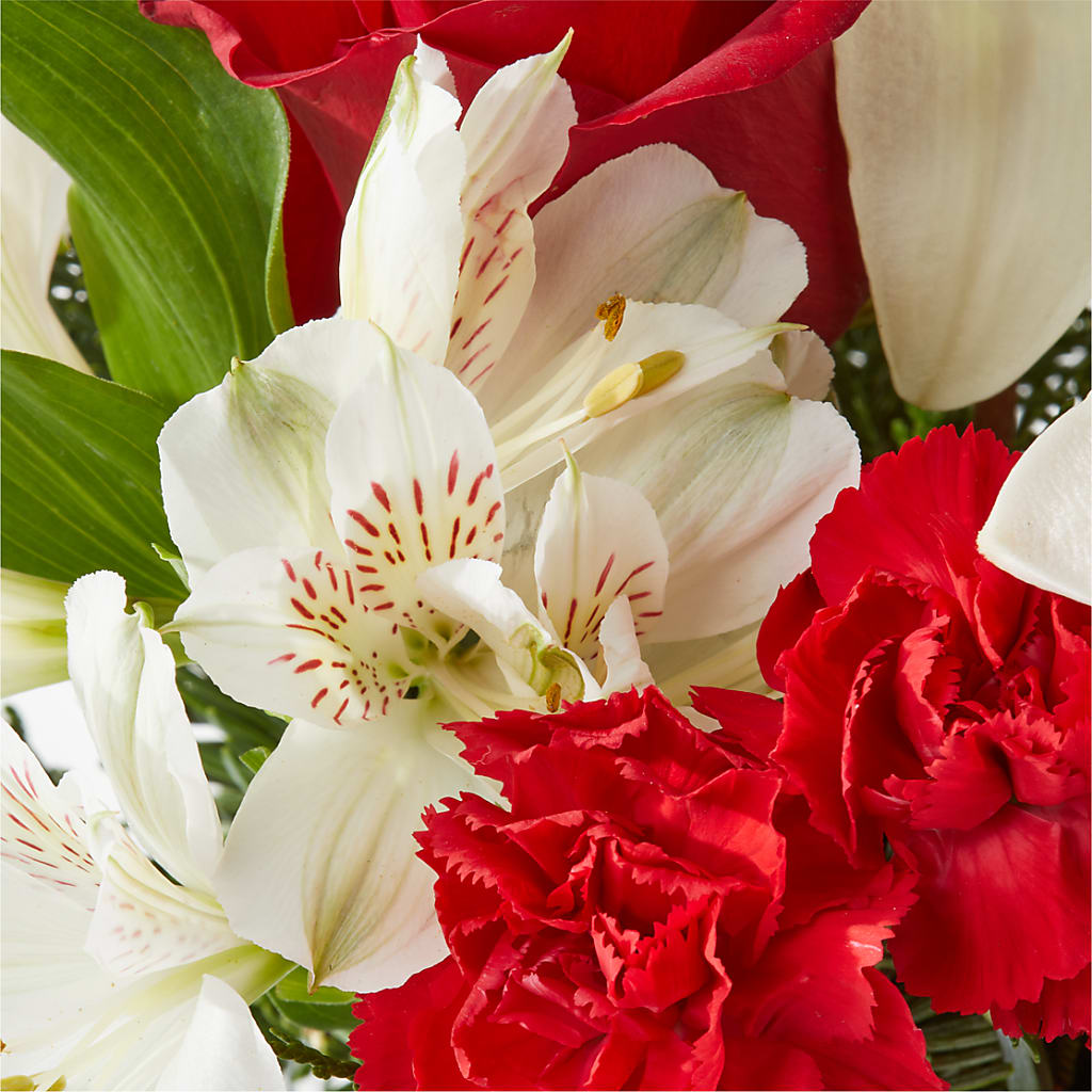 Holiday Season Bouquet – EVERYTHING'S GREEN FLORIST, Redwood City CA