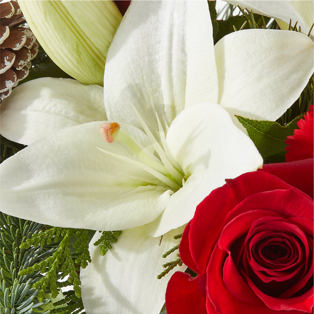 Oh So Jolly Bouquet – EVERYTHING'S GREEN FLORIST, Redwood City CA