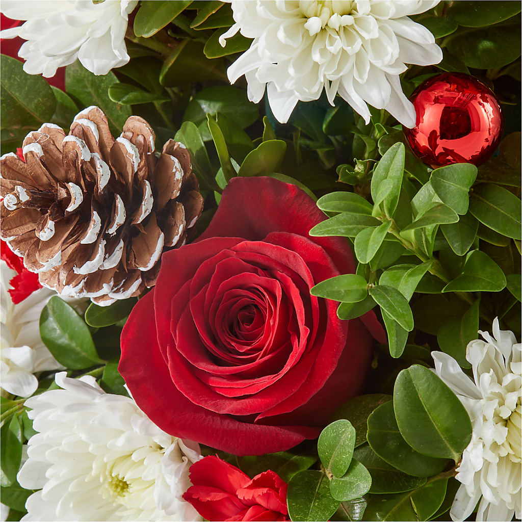 Let It Snow Tree – EVERYTHING'S GREEN FLORIST, Redwood City CA