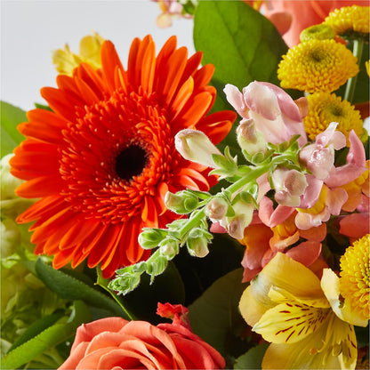 Autumn Sunshine Bouquet – EVERYTHING'S GREEN FLORIST, Redwood City CA