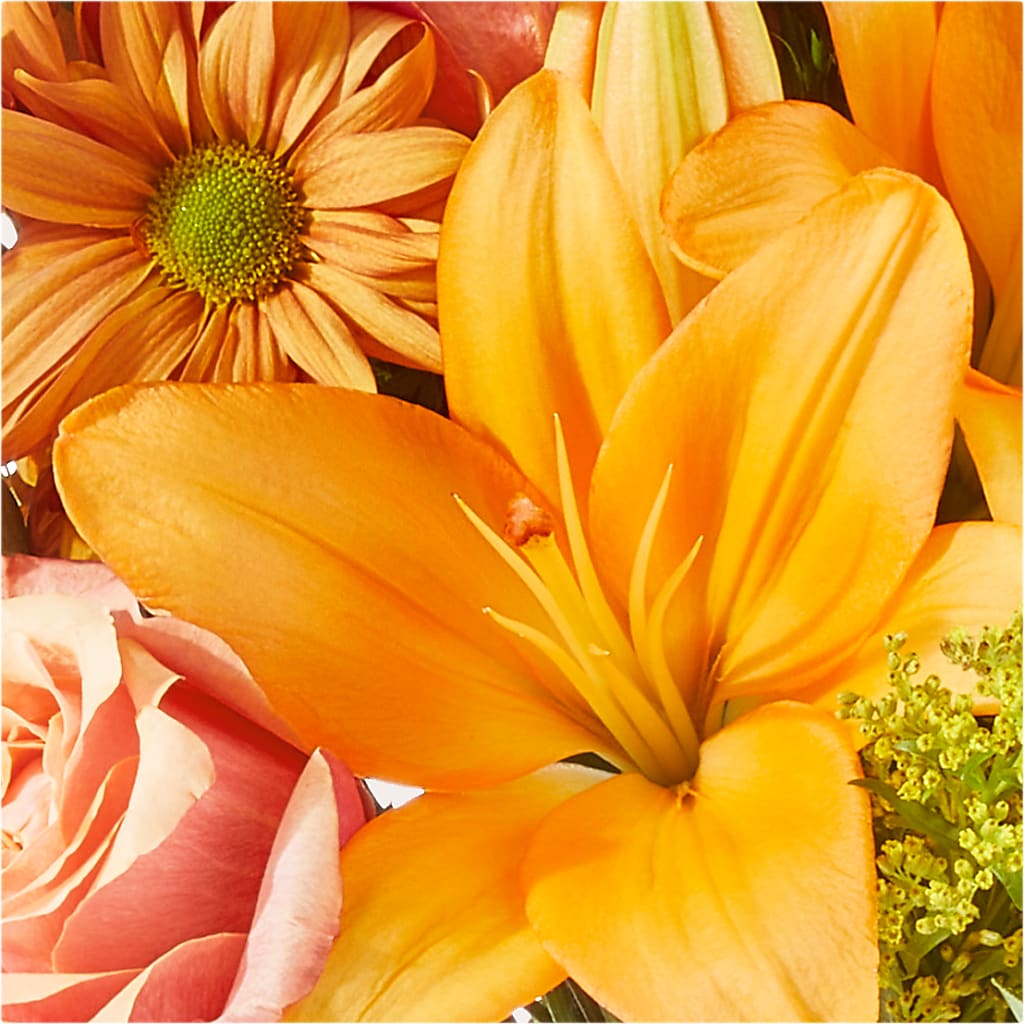 Harvest Hayride Bouquet – EVERYTHING'S GREEN FLORIST, Redwood City CA