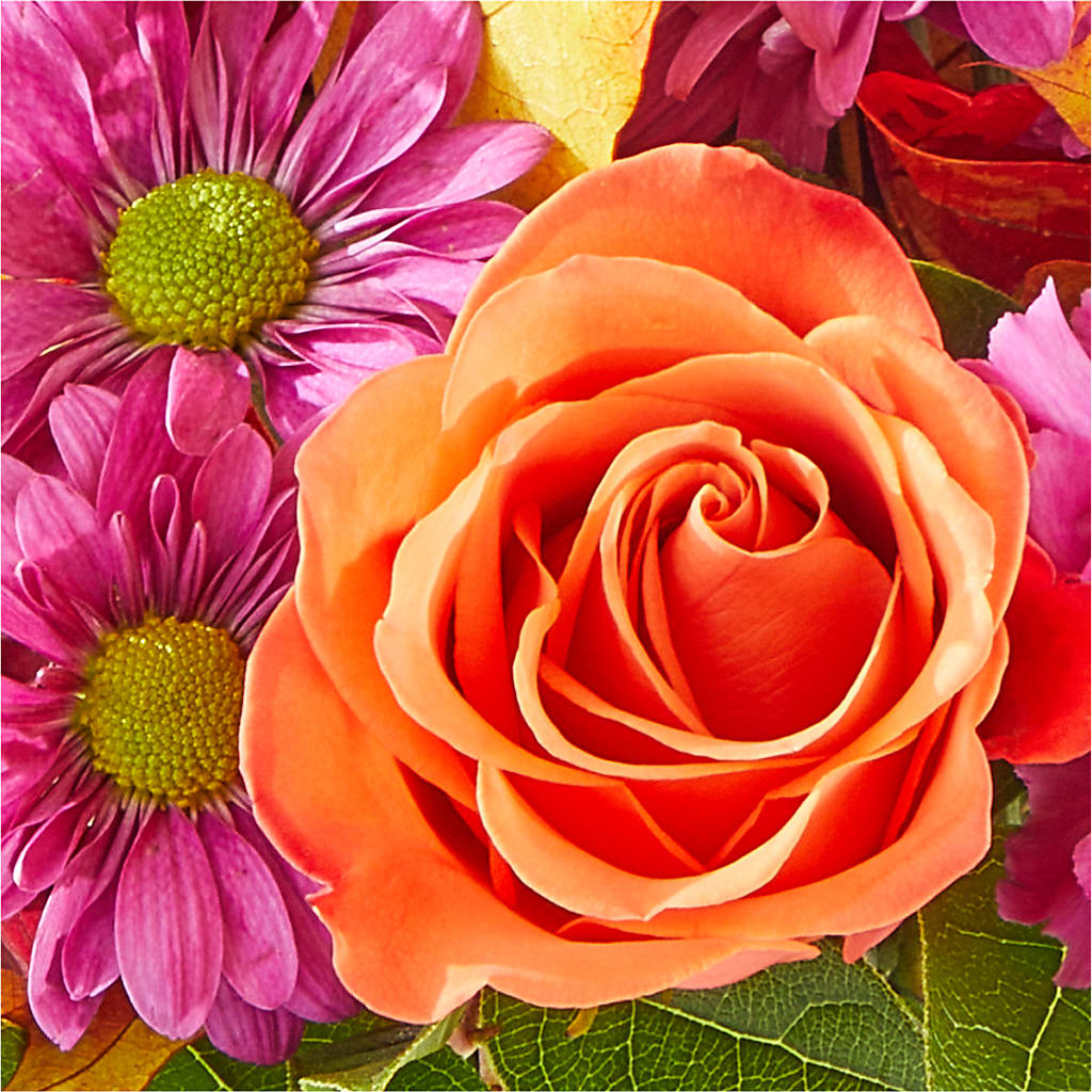 Mum's the Word Bouquet – EVERYTHING'S GREEN FLORIST, Redwood City CA