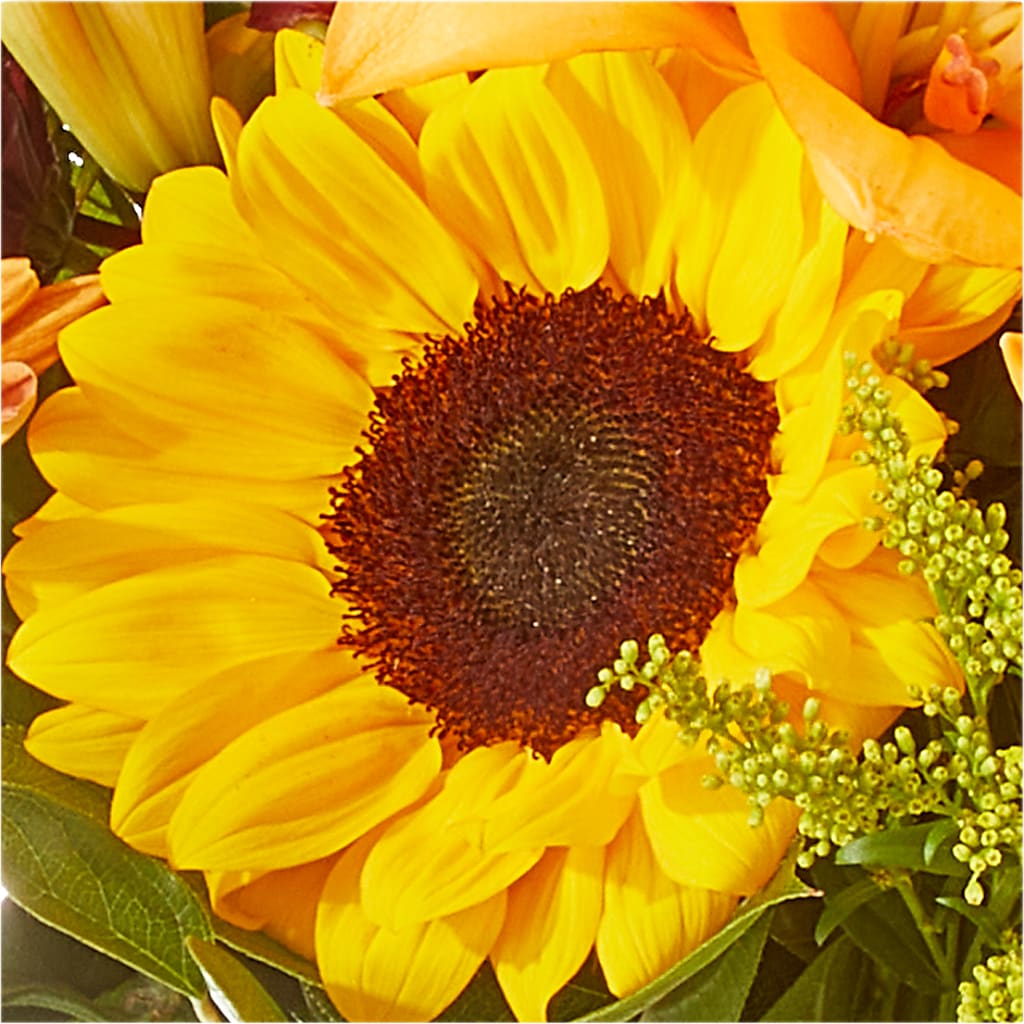 Seasons Change Bouquet – EVERYTHING'S GREEN FLORIST, Redwood City CA
