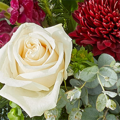 Cranberry Fizz Bouquet – EVERYTHING'S GREEN FLORIST, Redwood City CA